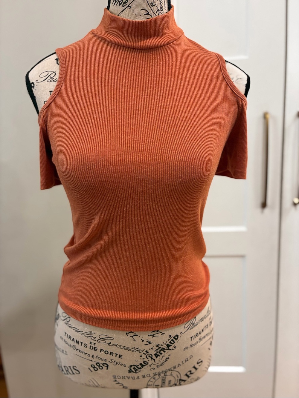 gaze Rust Cold-Shoulder Ribbed Mock Neck Top